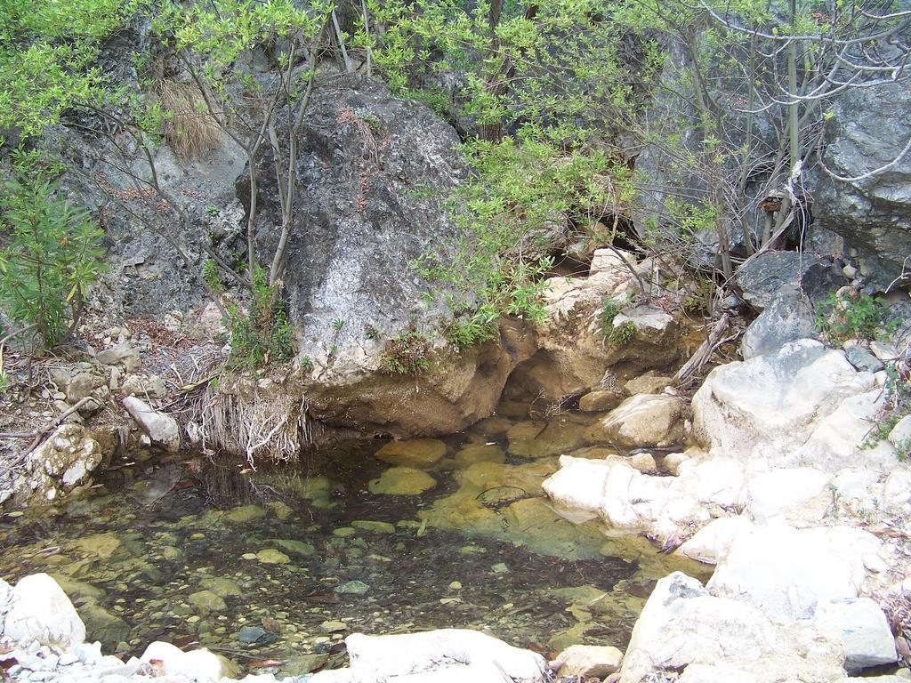 Hostal Sango Sierra De Las Nieves Alozaina エクステリア 写真